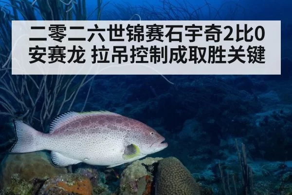 二零二六世锦赛石宇奇2比0安赛龙 拉吊控制成取胜关键