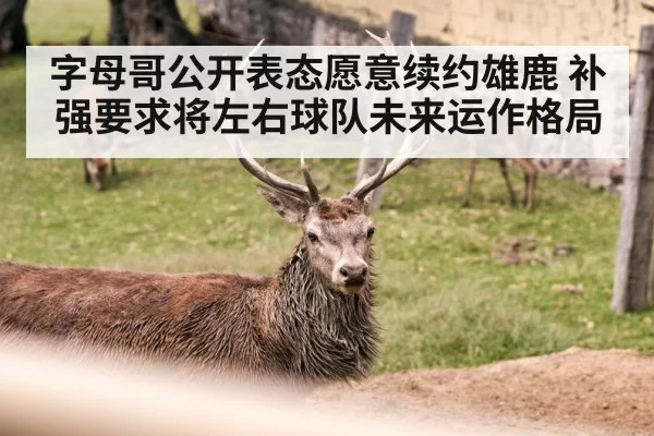 字母哥公开表态愿意续约雄鹿 补强要求将左右球队未来运作格局
