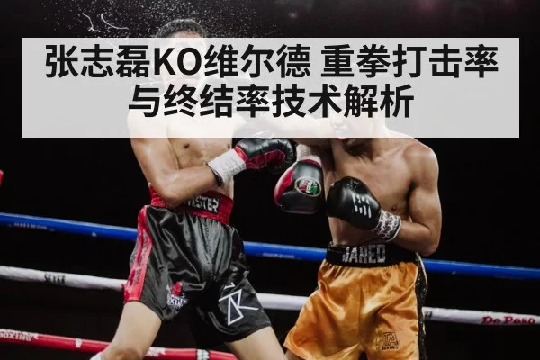 Zhang Zhilei boxing knockout